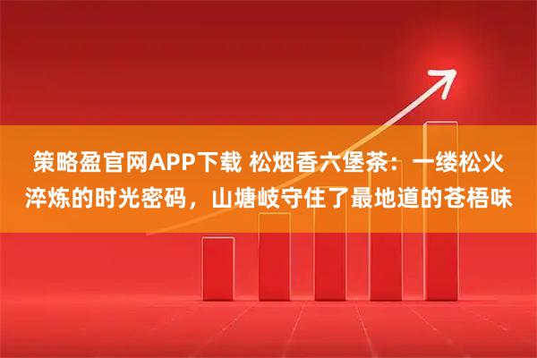 策略盈官网APP下载 松烟香六堡茶：一缕松火淬炼的时光密码，山塘岐守住了最地道的苍梧味