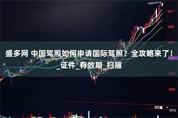 盛多网 中国驾照如何申请国际驾照？全攻略来了！_证件_有效期_扫描