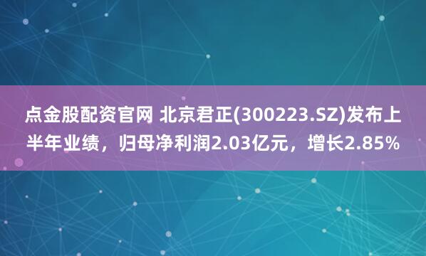 点金股配资官网 北京君正(300223.SZ)发布上半年业绩，归母净利润2.03亿元，增长2.85%