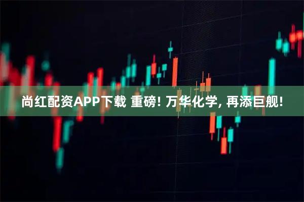 尚红配资APP下载 重磅! 万华化学, 再添巨舰!